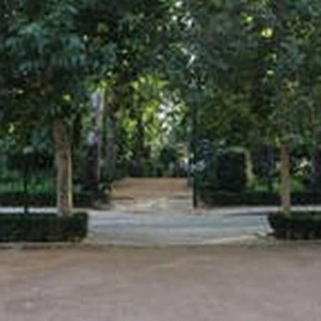 Fabuloso Piso Junto A Paseo De La Bomba Granada Exteriér fotografie